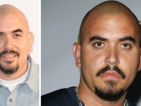 noel gugliemi
