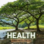 Health ThreeTrees com VN
