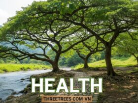 Health ThreeTrees com VN