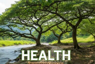 Health ThreeTrees com VN