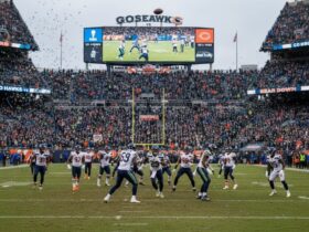 seahawks vs chicago bears match player stats