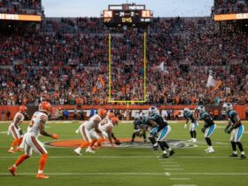 cleveland browns vs carolina panthers match player stats