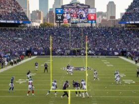 baltimore ravens vs new york giants match player stats