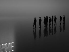 thealite.com au term and conditions