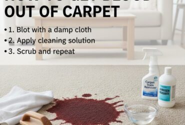 How to Get Blood Out of Carpet