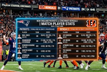 new england patriots vs bengals match player stats