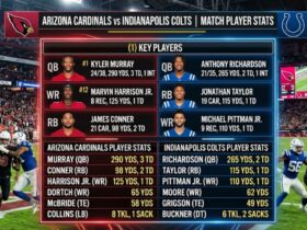 arizona cardinals vs colts match player stats