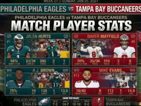 baltimore ravens vs miami dolphins match player stats